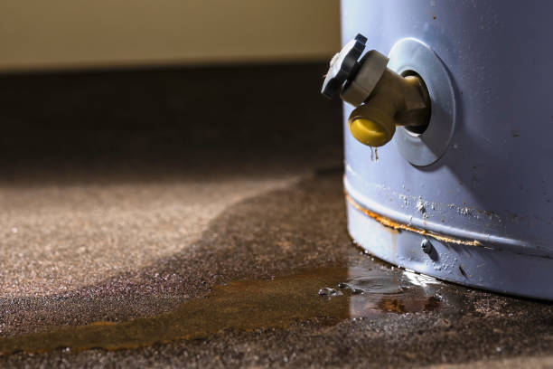 Professional Water damage restoration in Cold Spring, MN