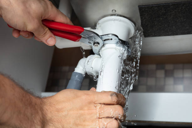  Cold Spring, MN Water damage restoration Pros