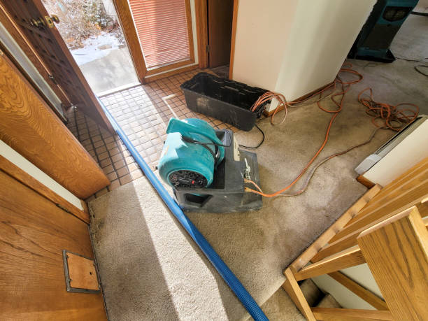 Best Flood damage cleanup  in Cold Spring, MN