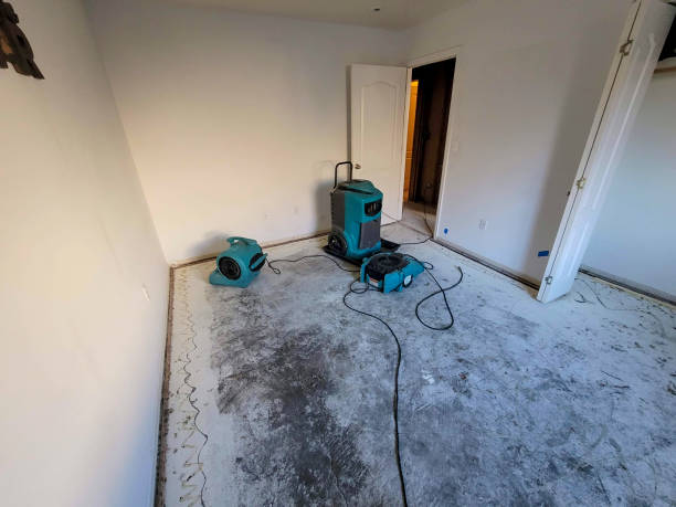 Professional Water damage restoration in Cold Spring, MN