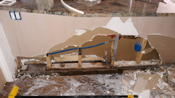 Best Residential water damage restoration  in Cold Spring, MN
