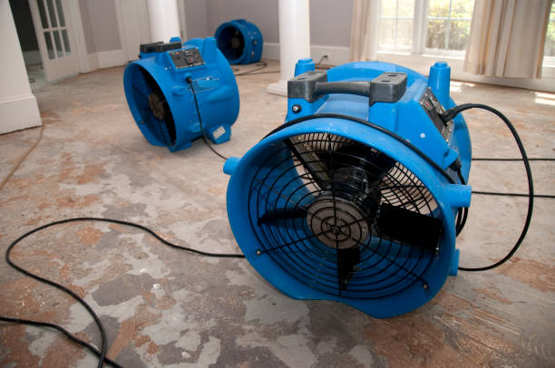 Best Water damage restoration near me  in Cold Spring, MN