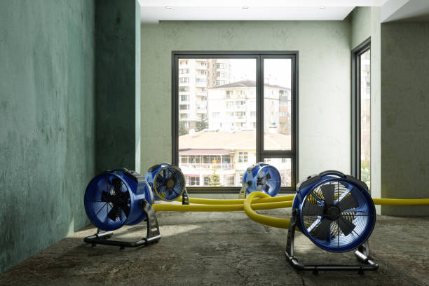 Best Ceiling water damage repair  in Cold Spring, MN
