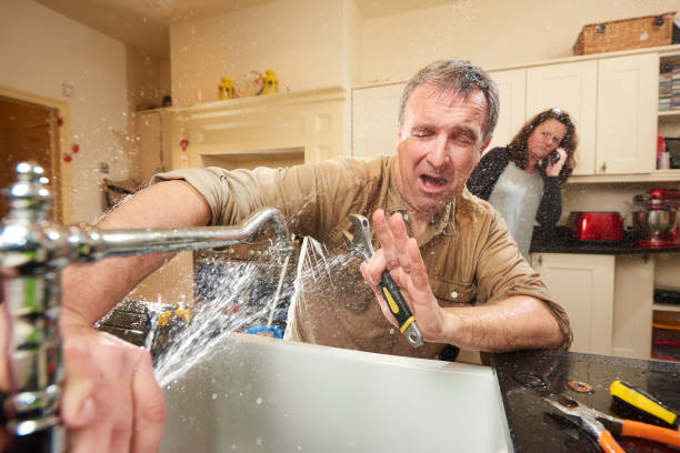 Best Water damage contractors near me  in Cold Spring, MN
